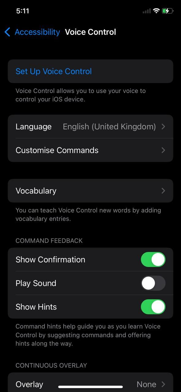 Процесс настройки Управления голосом на iPhone