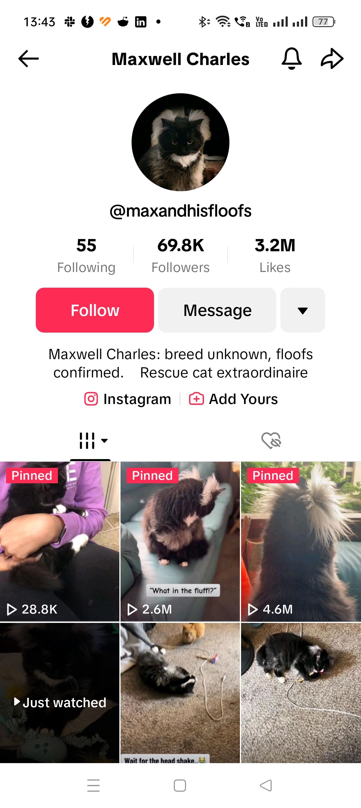 Опция подписки на аккаунт в TikTok