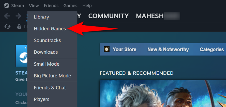 Выберите Вид > Скрытые игры в меню Steam
