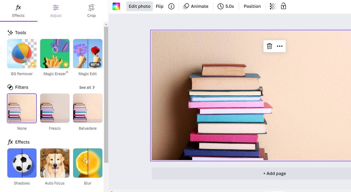 Скриншот опций редактирования изображения в Canva
