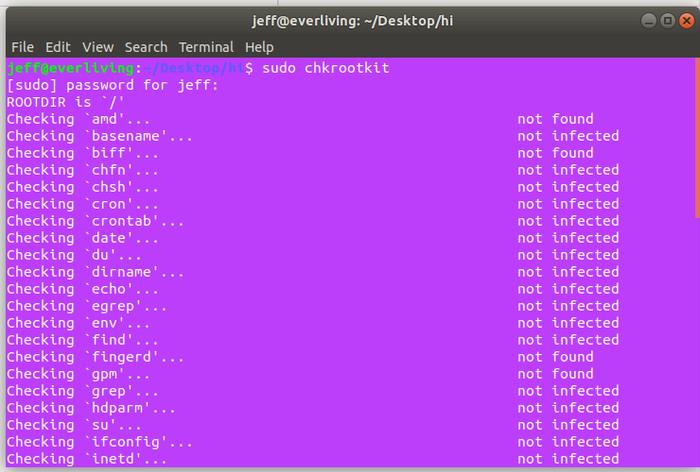 Scan Server Chkrootkit