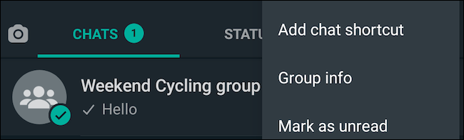 Просмотр информации о группе в WhatsApp