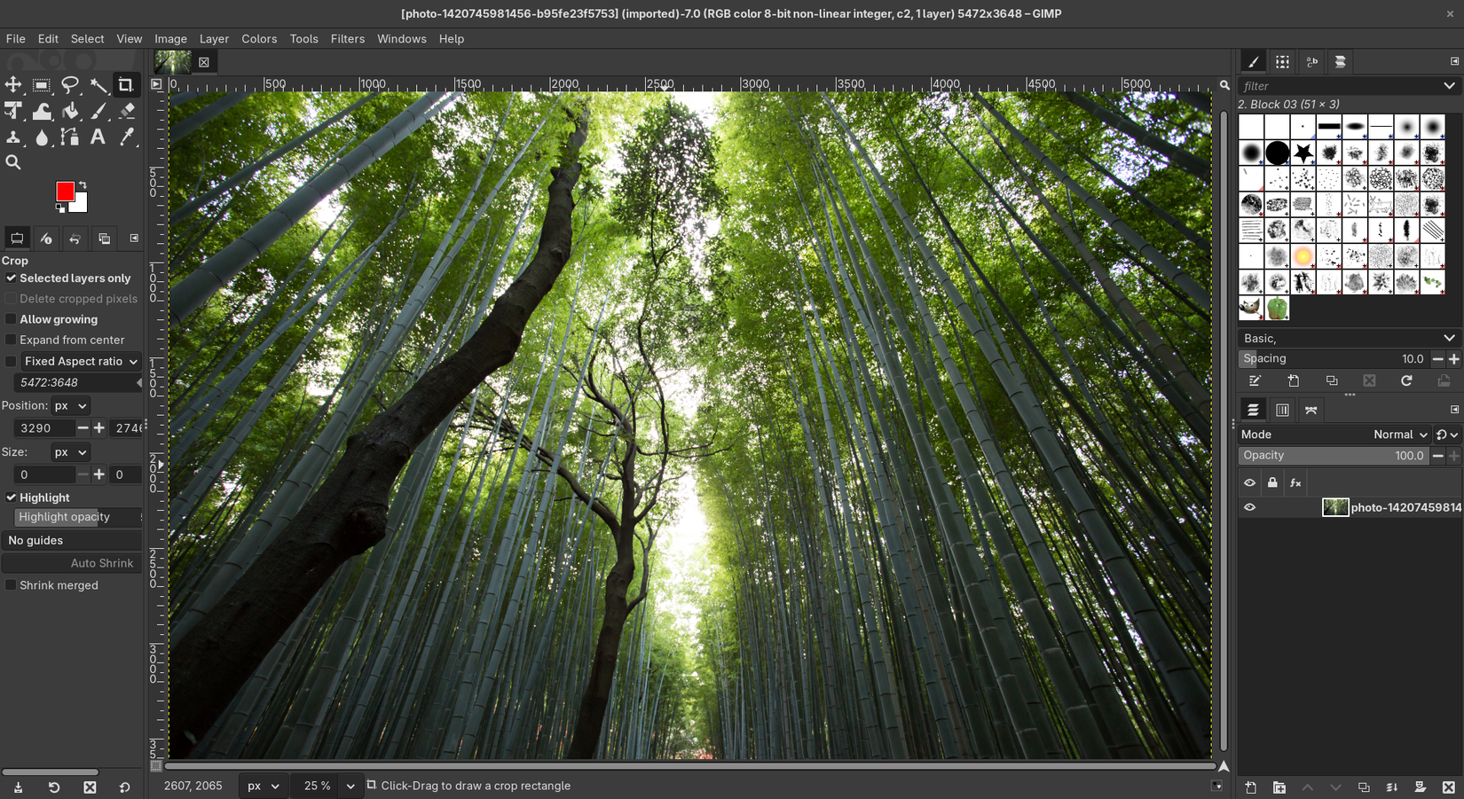 Interfaccia di GIMP con strumenti di modifica immagini e menu attivi.