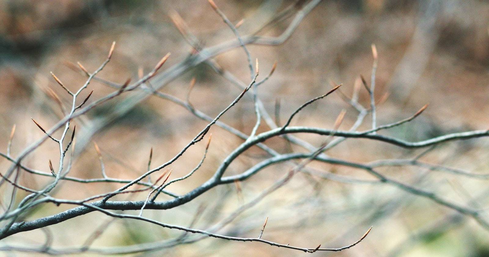 Как перечислить ветки в Git