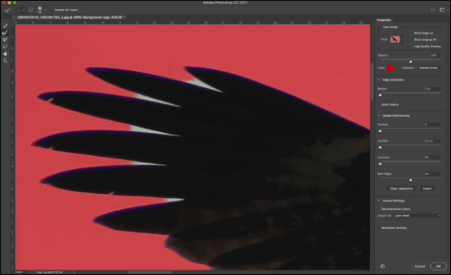 Refine Edge на перьях птицы