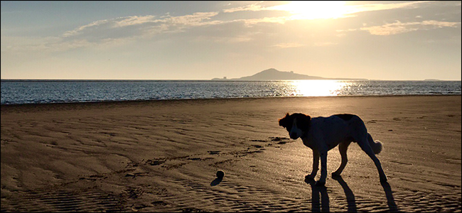 Съёмка силуэтов: руководство и советы