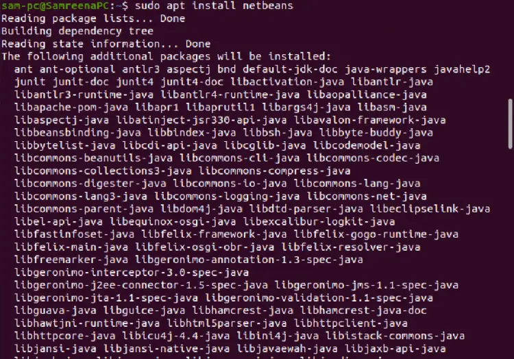 Установка NetBeans через apt