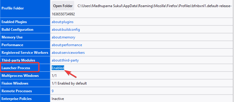 launcher process включён
