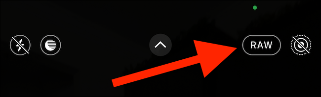 Индикатор RAW показывает, что снимок будет в ProRAW