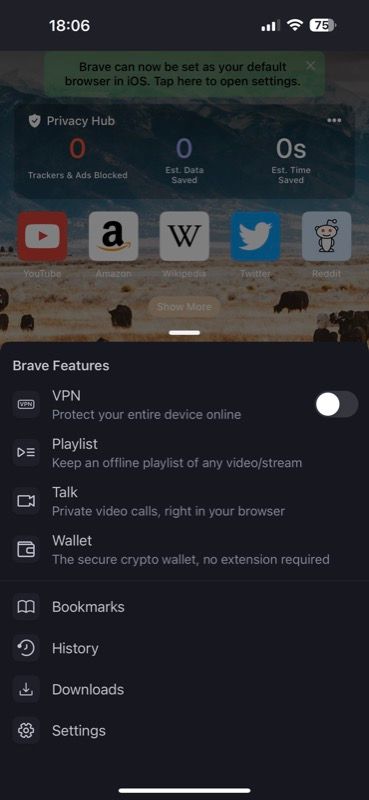 Доступ к настройкам Brave на iPhone