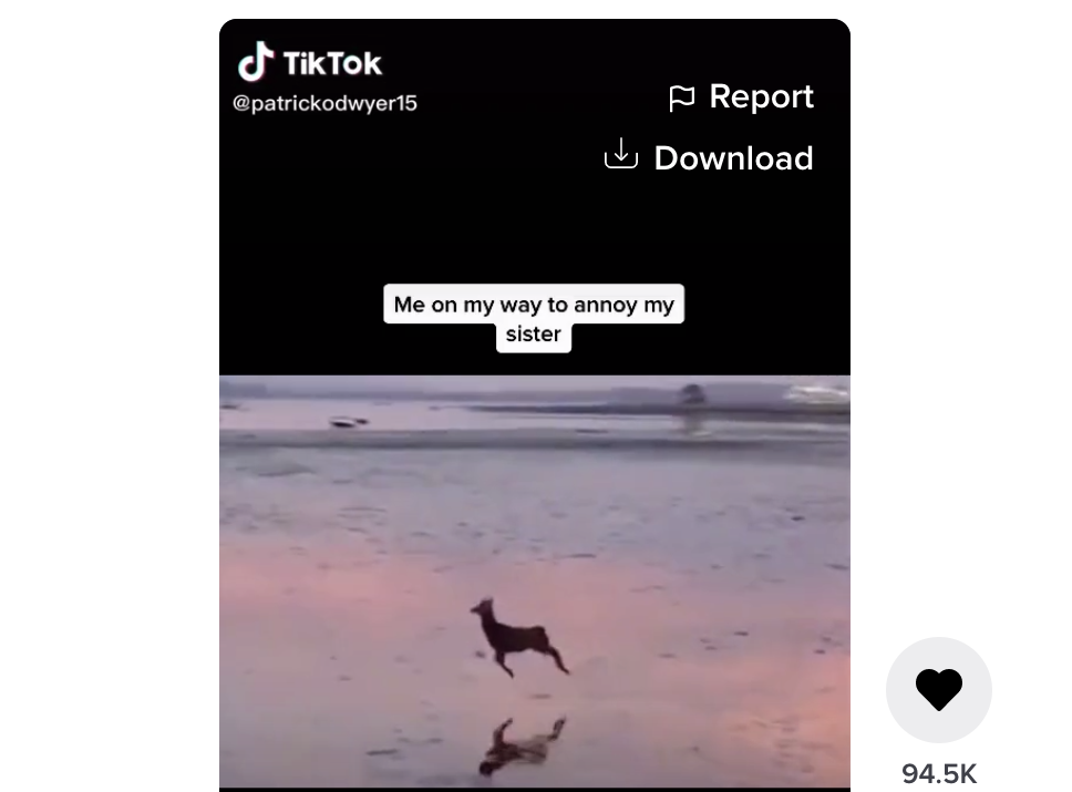 Скачивание через расширение браузера или передача файлов с телефона на компьютер