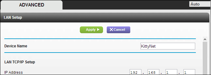 Скриншот: Device Name роутера в настройках LAN