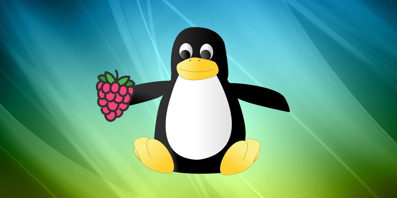 Установка Raspberry Pi в Linux — быстрый гид