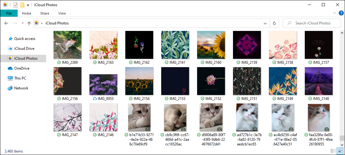 iCloud Photos в проводнике Windows