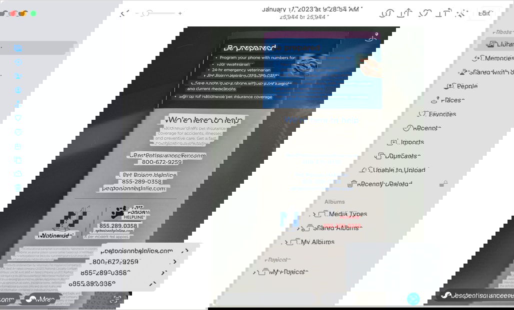 Действия Live Text в Фото на Mac