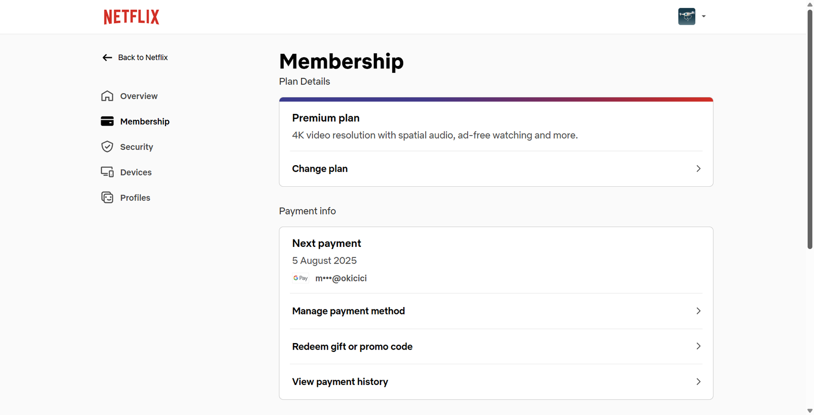 Netflix account Payment info