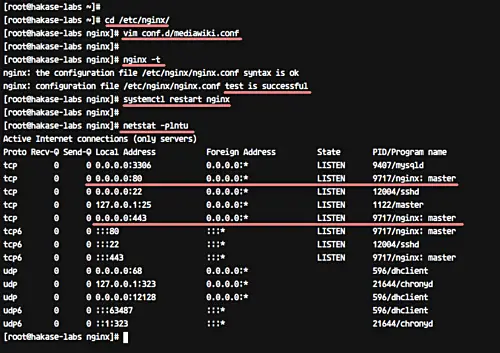 Nginx test and restart screenshot