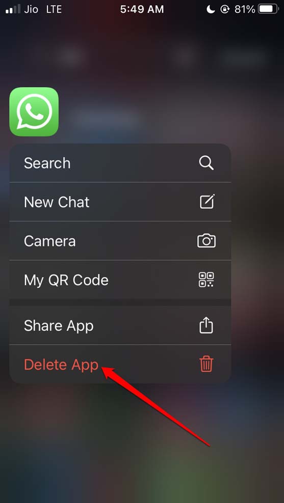 Schermata che mostra opzione per eliminare WhatsApp su iPhone