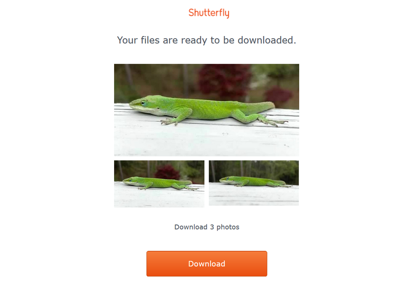 Письмо от Shutterfly с уведомлением о готовности изображений к скачиванию