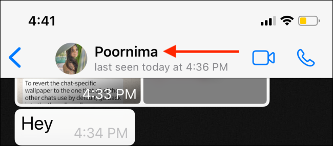 Экран информации о собеседнике в WhatsApp на iPhone