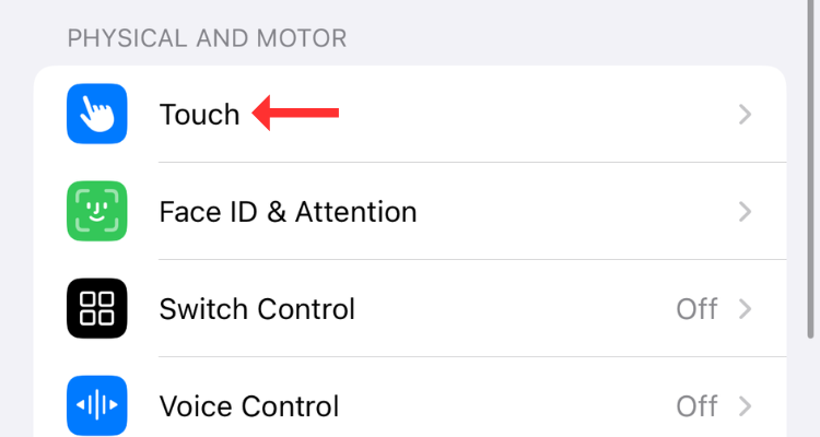 Пункт меню Touch в разделе Универсальный доступ.