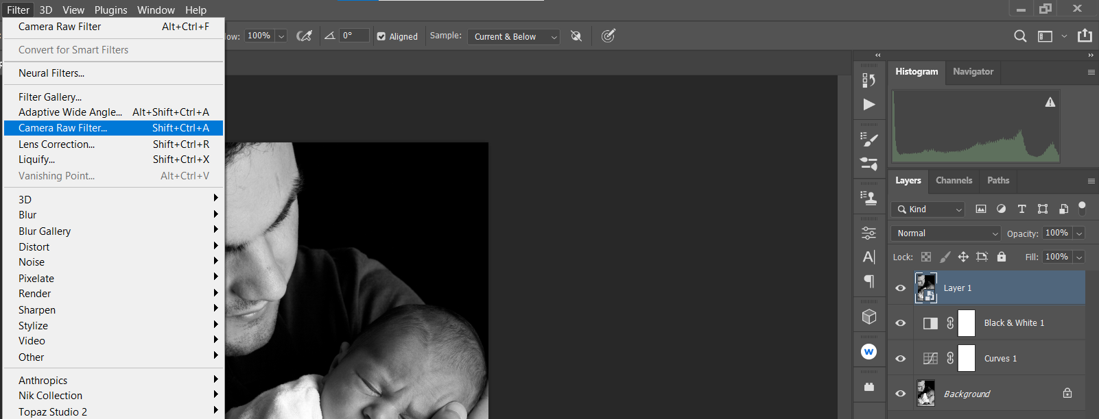 Открытие Camera Raw для чёрно‑белого кадра