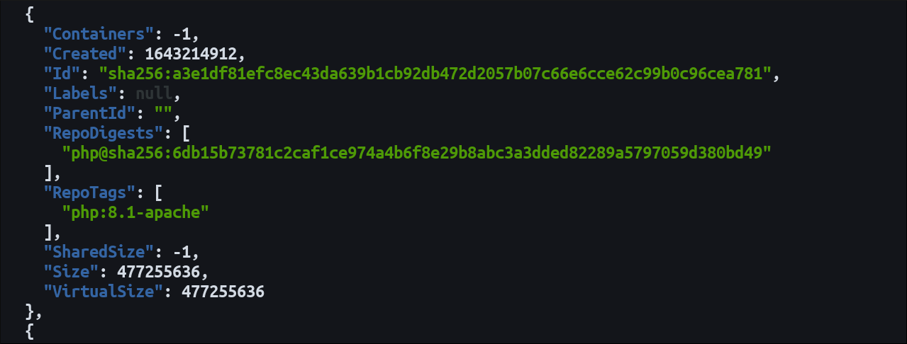 Скриншот: информация об образах через Docker REST API