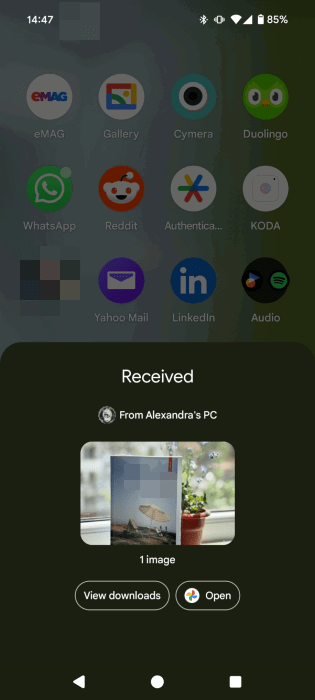File received from PC on Android phone using Quick Share.
