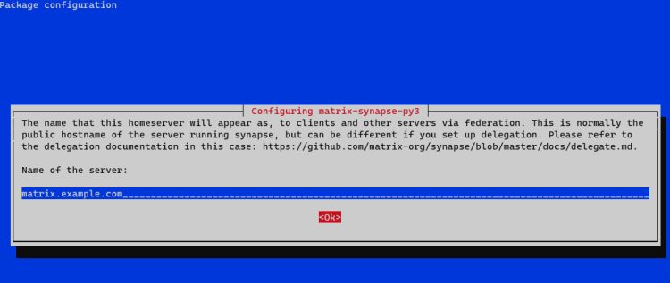 Окно конфигурации homeserver Synapse