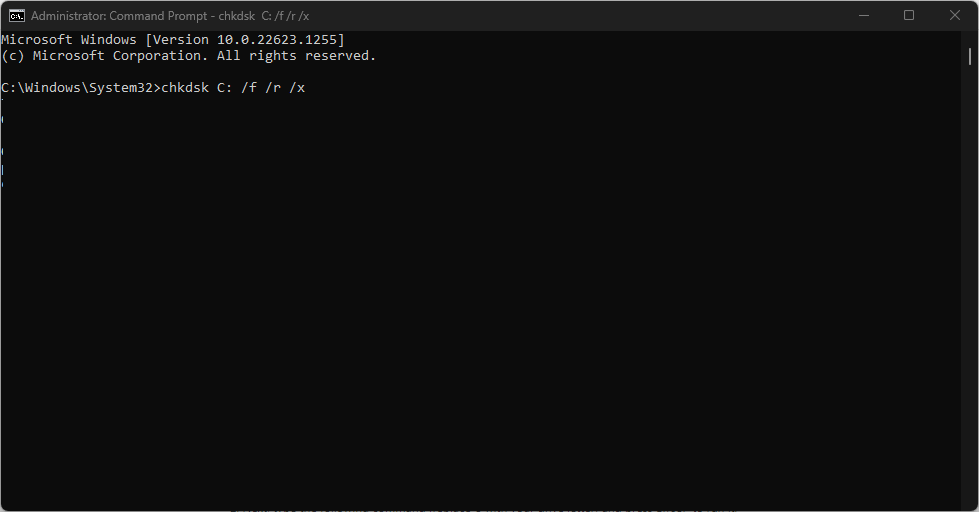 Скриншот команды chkdsk и параметров