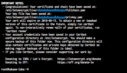 Результат выдачи сертификата Letsencrypt — путь к сертификатам
