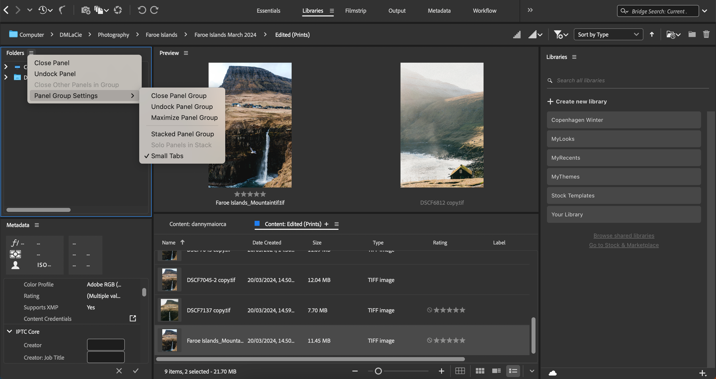 Настройки панелей в Adobe Bridge