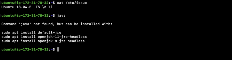 Проверка версии ОС и наличия Java