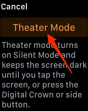 Подтверждение включения Режима театра на экране Apple Watch