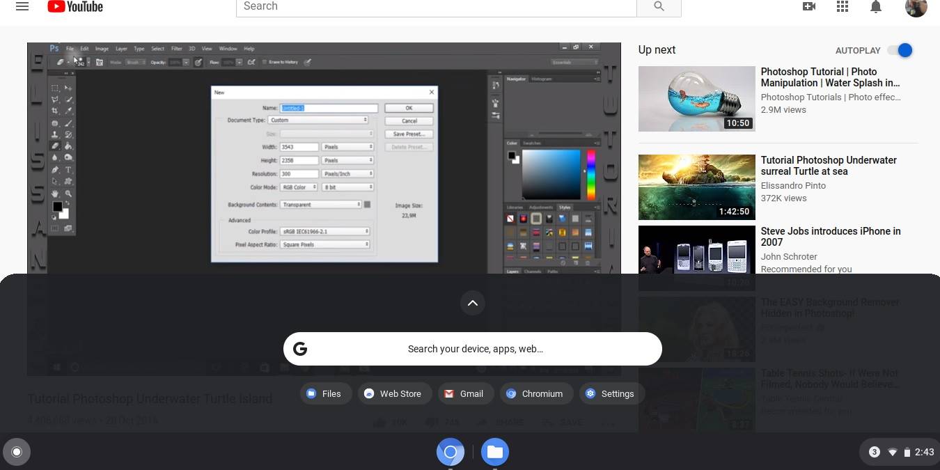 Chromium OS (ChromX): запуск на ноутбуке