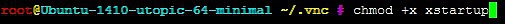 chmod +x xstartup