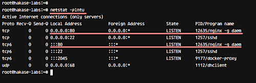 Установлен Nginx