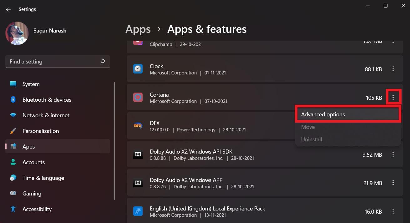 Cortana Advanaced Options
