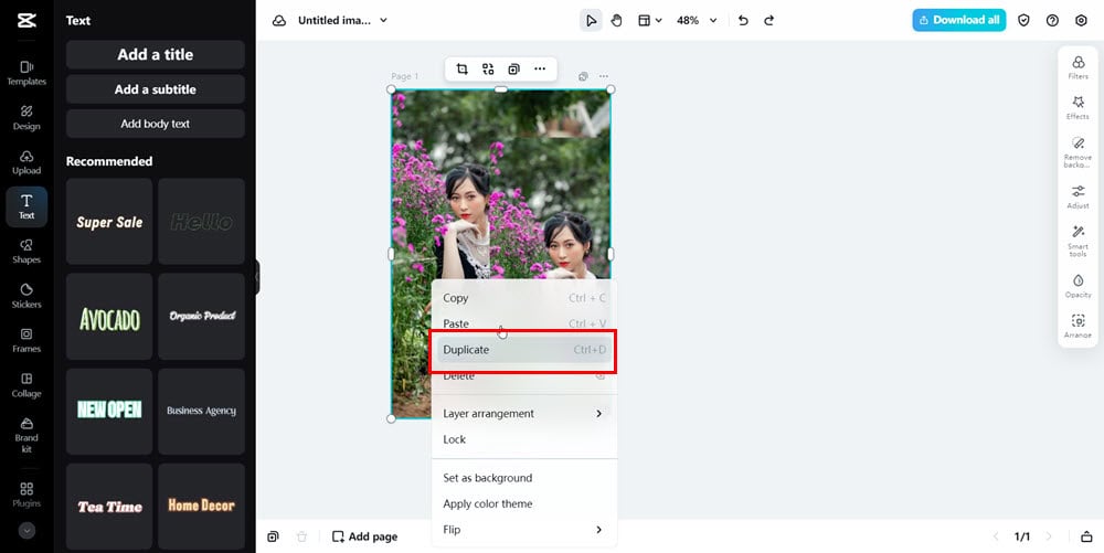 Дублировать изображение