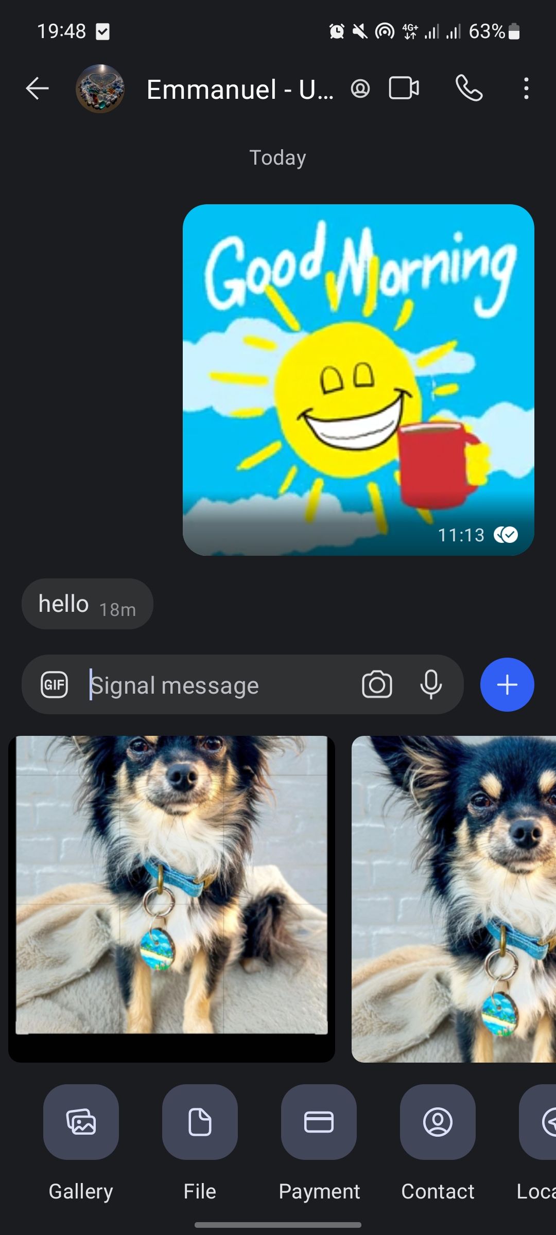 Меню выбора файла для отправки в Signal