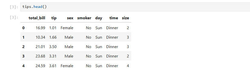 Вывод первых строк датасета tips в Jupyter Notebook.