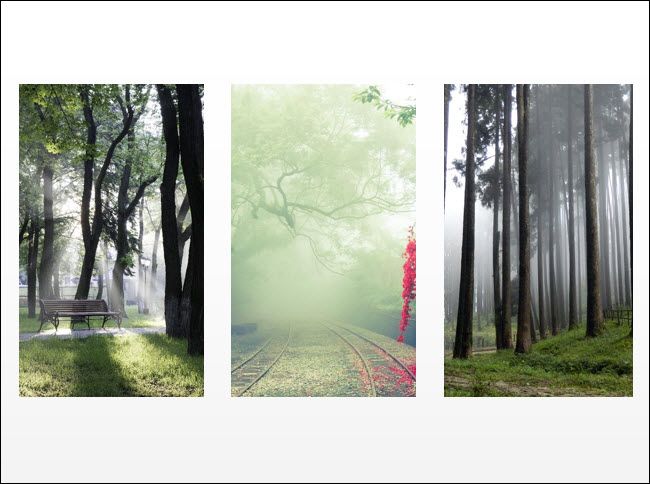 Все объекты выровнены и равномерно распределены