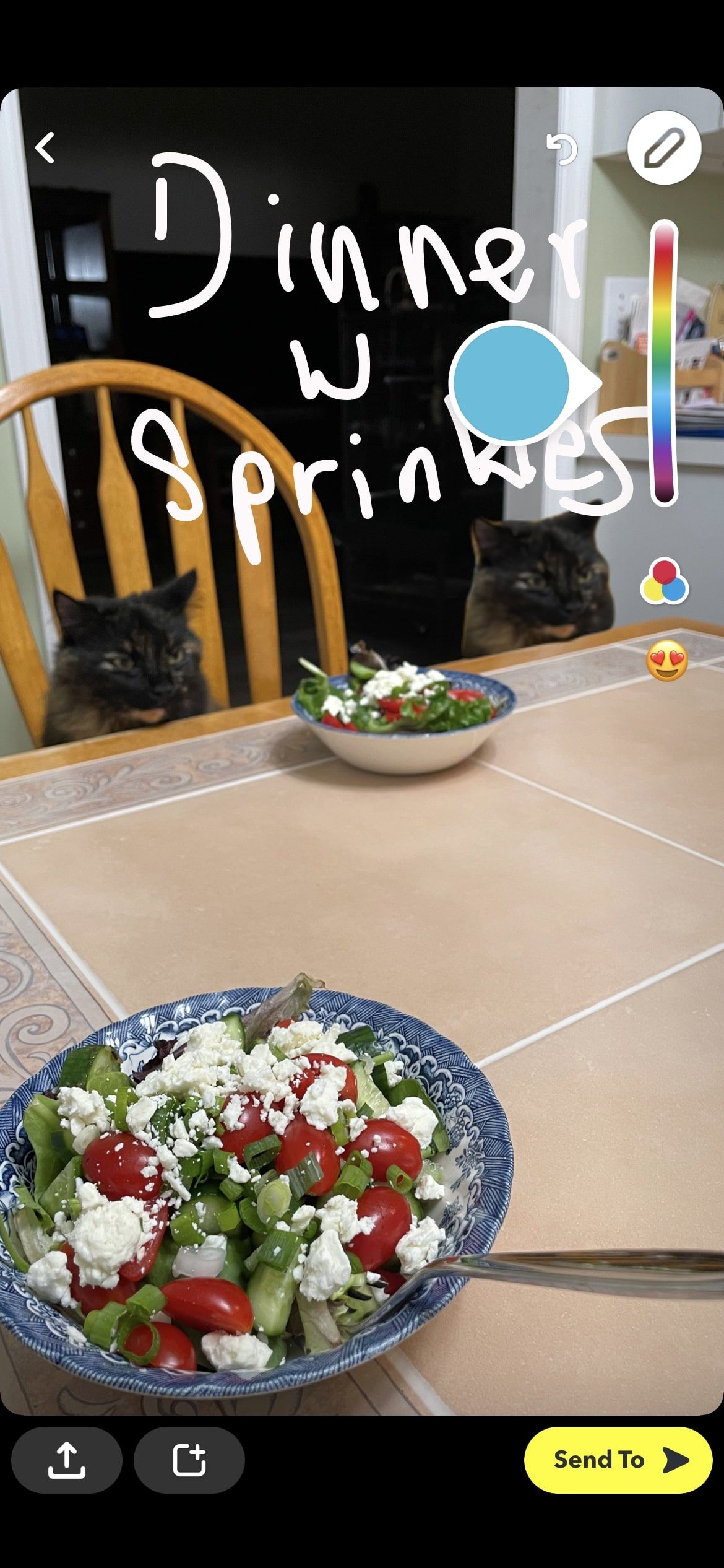 инструмент рисования в Snapchat на фото кошки