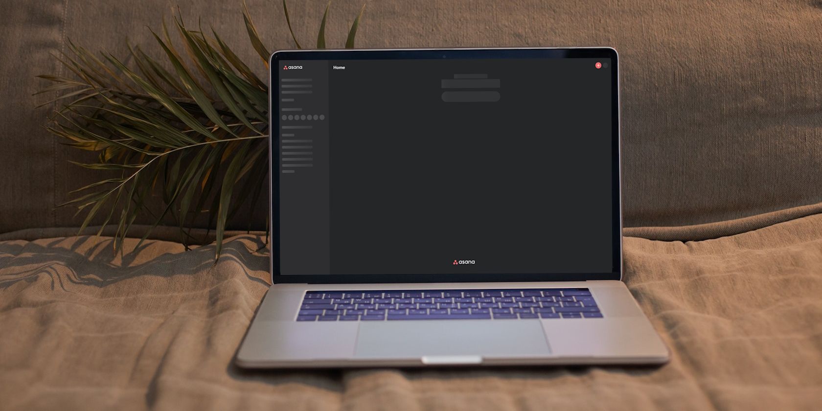 Asana не загружается на Windows — устранение проблем