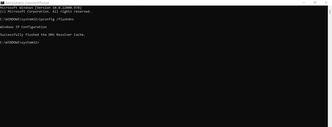 Запуск команды очистки DNS в командной строке Windows