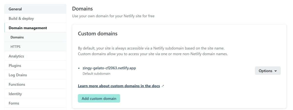 Настройки управления доменом в Netlify