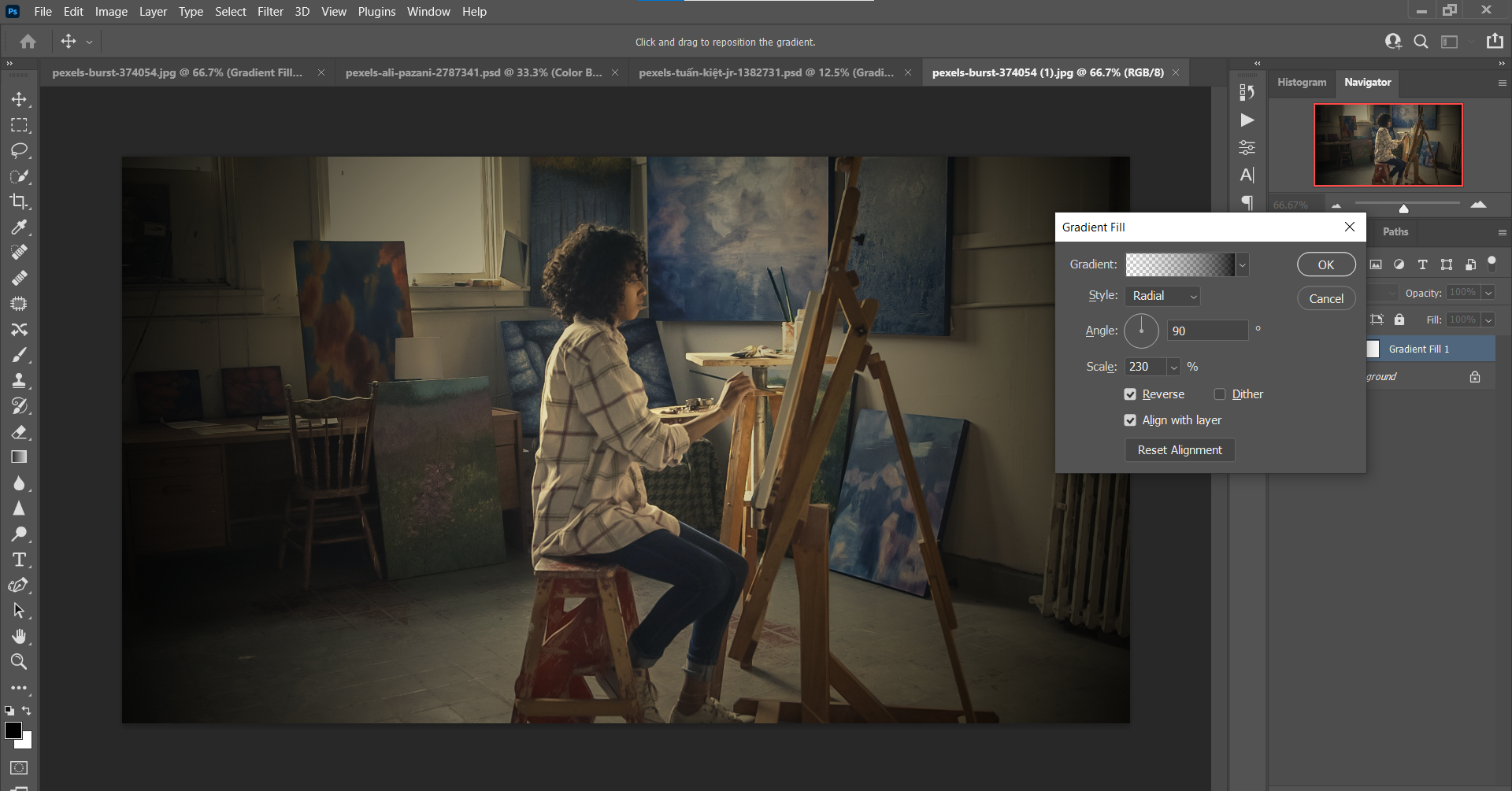 Масштаб 230 — художник