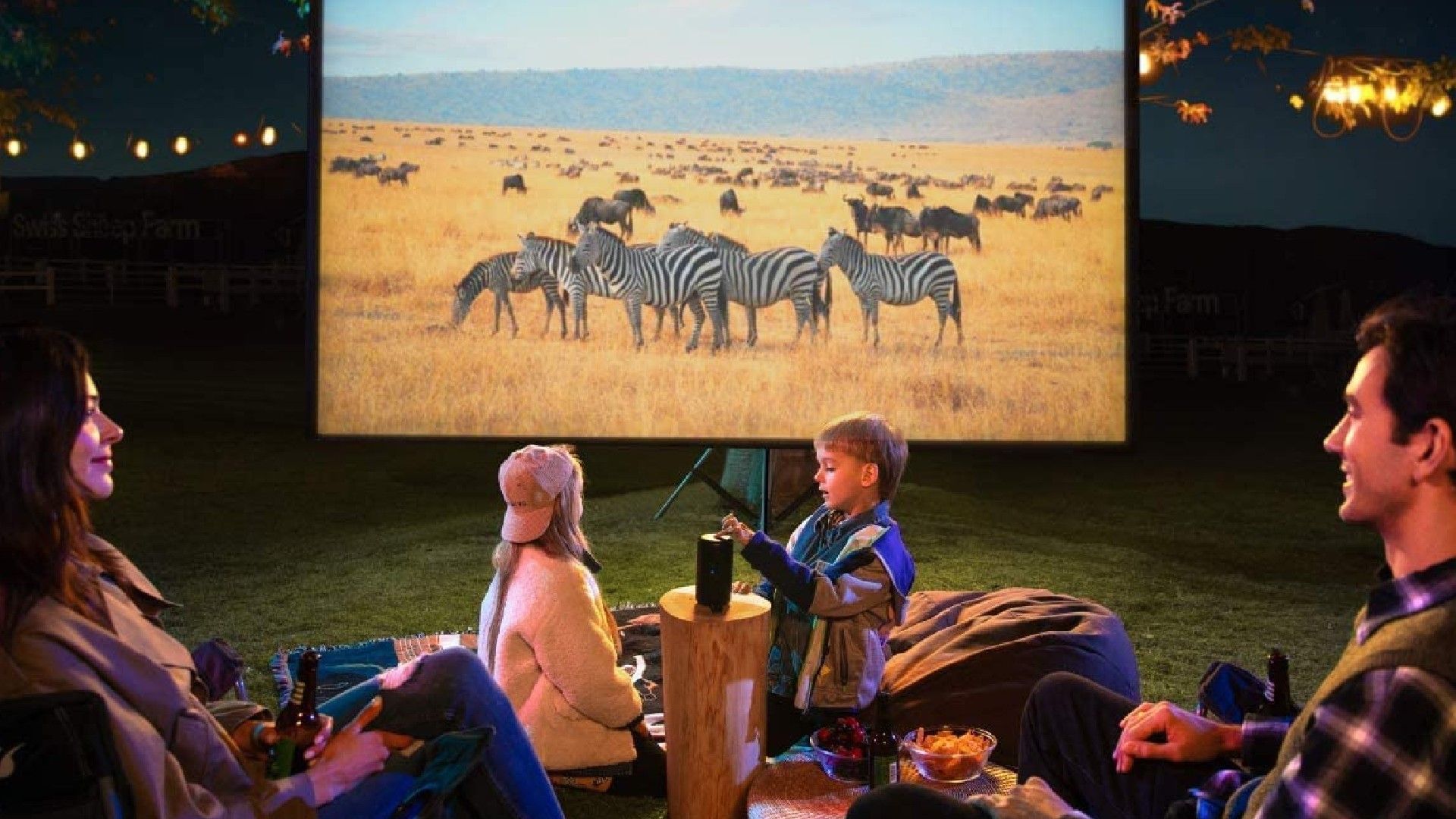 Outdoor movie with travel projector