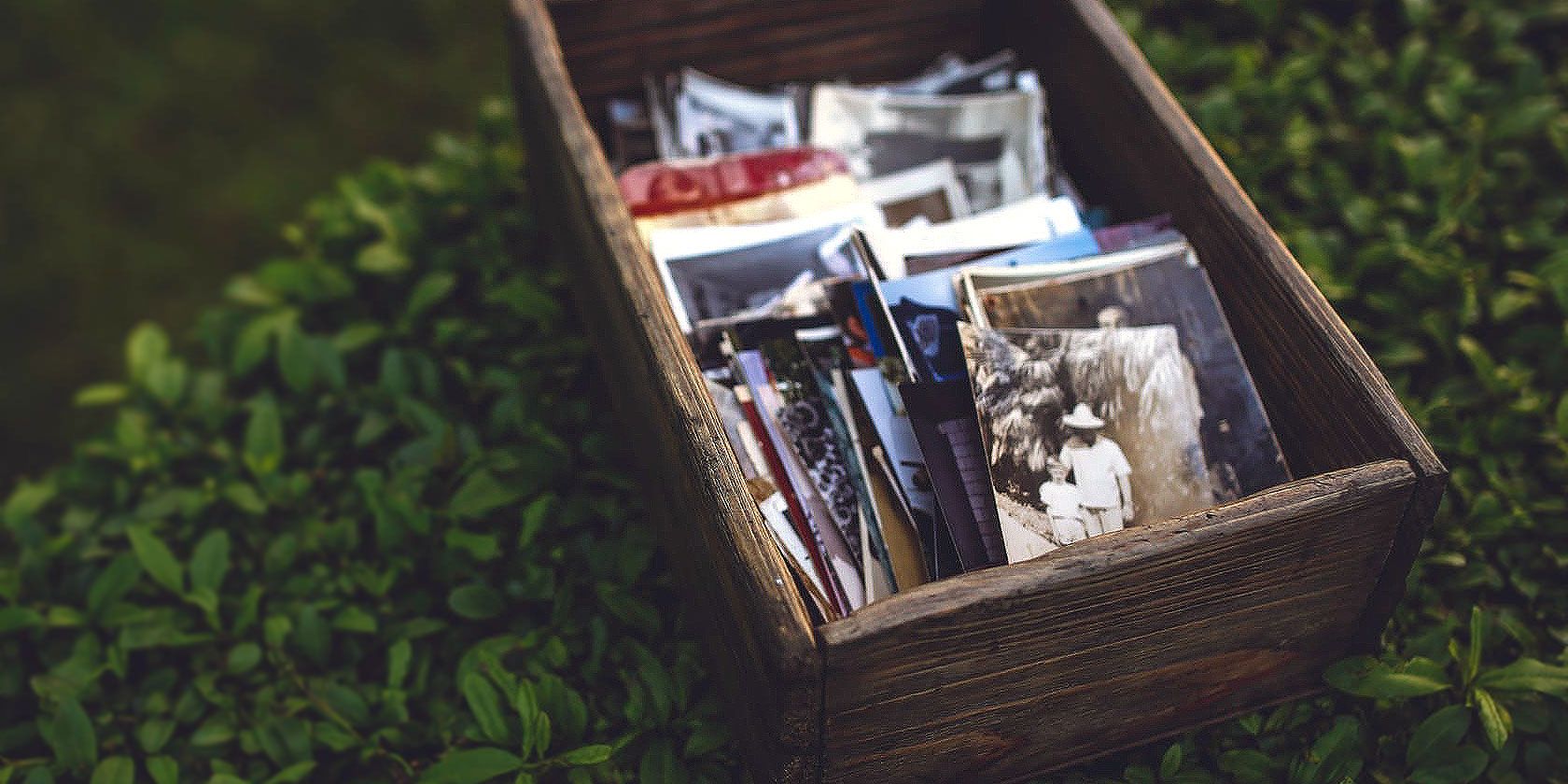 Управление фотографиями в Linux — полное руководство