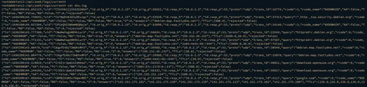 Пример JSON-лога Zeek